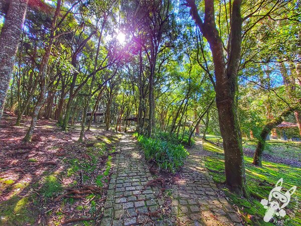 Parque Municipal Barreirinha | Curitiba - Paraná - Brasil | FredLee Na Estrada Parque Municipal Barreirinha | Curitiba - Paraná - Brasil | FredLee Na Estrada