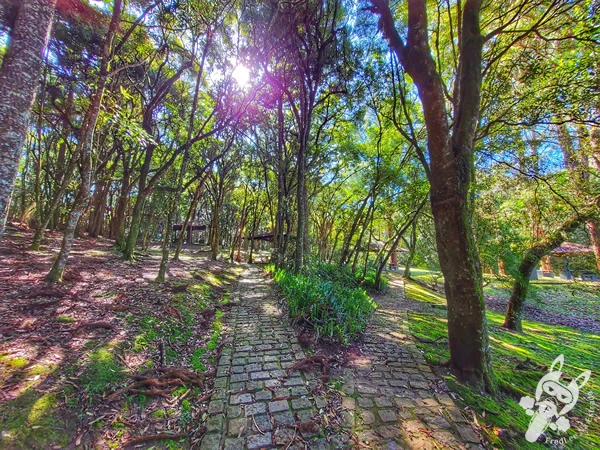 Área de lazer com quiosques e churrasqueiras no Parque Municipal Barreirinha, em Curitiba, Paraná, Brasil. Foto: FredLee Na Estrada.