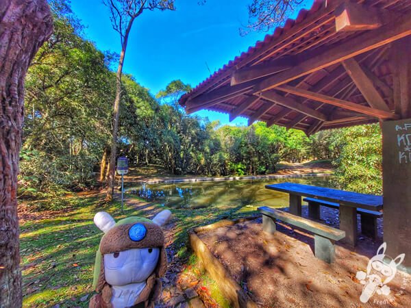 Parque Municipal Barreirinha | Curitiba - Paraná - Brasil | FredLee Na Estrada Parque Municipal Barreirinha | Curitiba - Paraná - Brasil | FredLee Na Estrada
