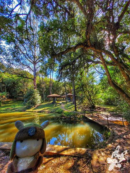 Parque Municipal Barreirinha | Curitiba - Paraná - Brasil | FredLee Na Estrada Parque Municipal Barreirinha | Curitiba - Paraná - Brasil | FredLee Na Estrada