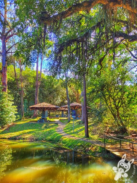 Parque Municipal Barreirinha | Curitiba - Paraná - Brasil | FredLee Na Estrada Parque Municipal Barreirinha | Curitiba - Paraná - Brasil | FredLee Na Estrada