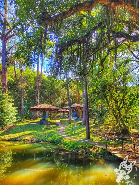 Lago localizado ao lado da área de quiosques e churrasqueiras do Parque Municipal Barreirinha, em Curitiba, Paraná, Brasil. Foto: FredLee Na Estrada.