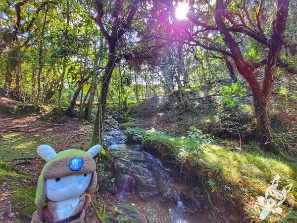 Parque Municipal Barreirinha | Curitiba - Paraná - Brasil | FredLee Na Estrada Parque Municipal Barreirinha | Curitiba - Paraná - Brasil | FredLee Na Estrada