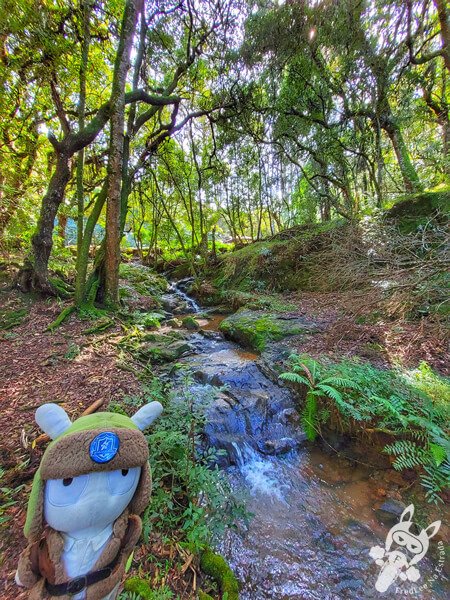 Parque Municipal Barreirinha | Curitiba - Paraná - Brasil | FredLee Na Estrada Parque Municipal Barreirinha | Curitiba - Paraná - Brasil | FredLee Na Estrada