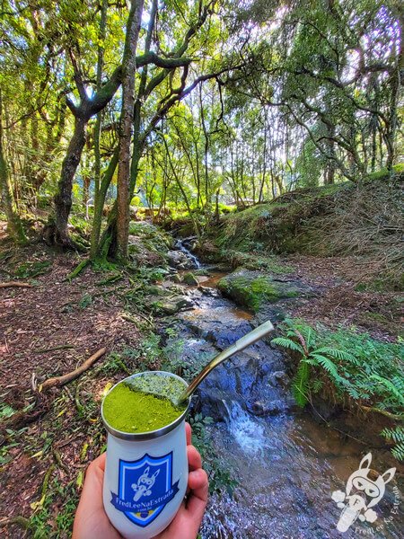 Chimarrão no Parque Municipal Barreirinha | Curitiba - Paraná - Brasil | FredLee Na Estrada Chimarrão no Parque Municipal Barreirinha | Curitiba - Paraná - Brasil | FredLee Na Estrada