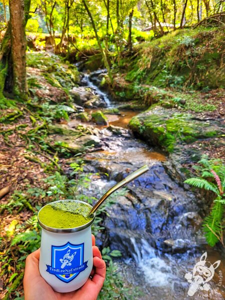 Chimarrão no Parque Municipal Barreirinha | Curitiba - Paraná - Brasil | FredLee Na Estrada Chimarrão no Parque Municipal Barreirinha | Curitiba - Paraná - Brasil | FredLee Na Estrada