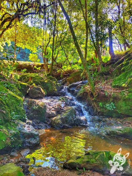 Parque Municipal Barreirinha | Curitiba - Paraná - Brasil | FredLee Na Estrada Parque Municipal Barreirinha | Curitiba - Paraná - Brasil | FredLee Na Estrada