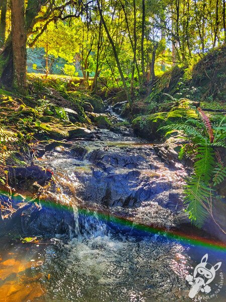 Parque Municipal Barreirinha | Curitiba - Paraná - Brasil | FredLee Na Estrada Parque Municipal Barreirinha | Curitiba - Paraná - Brasil | FredLee Na Estrada