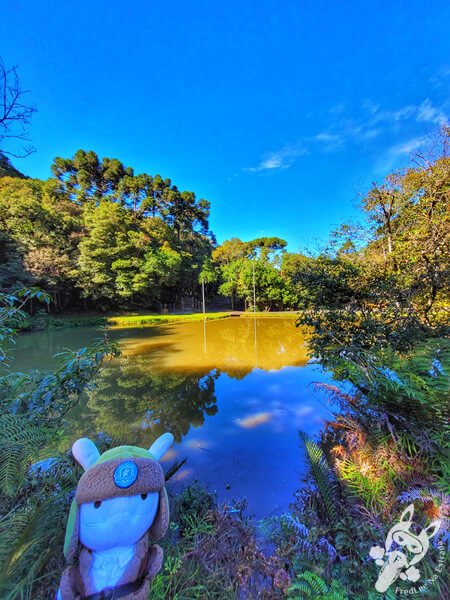 Lago no Parque Municipal Barreirinha | Curitiba - Paraná - Brasil | FredLee Na Estrada Lago no Parque Municipal Barreirinha | Curitiba - Paraná - Brasil | FredLee Na Estrada