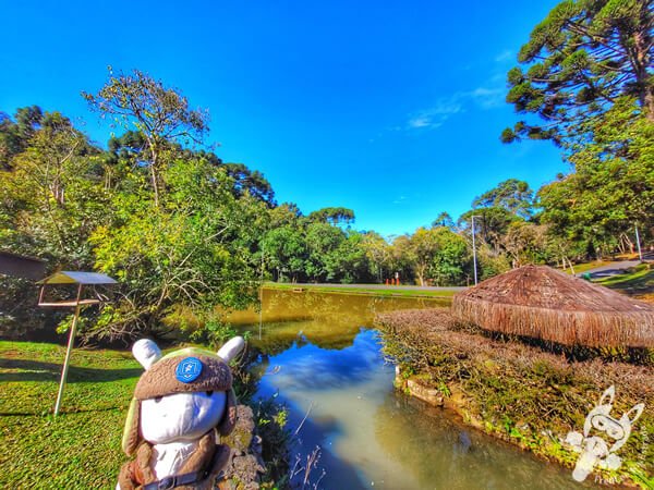 Lago no Parque Municipal Barreirinha | Curitiba - Paraná - Brasil | FredLee Na Estrada Lago no Parque Municipal Barreirinha | Curitiba - Paraná - Brasil | FredLee Na Estrada