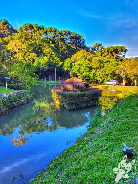 Lago no Parque Municipal Barreirinha | Curitiba - Paraná - Brasil | FredLee Na Estrada Lago no Parque Municipal Barreirinha | Curitiba - Paraná - Brasil | FredLee Na Estrada