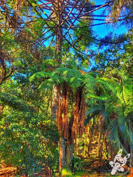 Parque Municipal Barreirinha | Curitiba - Paraná - Brasil | FredLee Na Estrada Parque Municipal Barreirinha | Curitiba - Paraná - Brasil | FredLee Na Estrada
