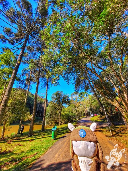 Parque Municipal Barreirinha | Curitiba - Paraná - Brasil | FredLee Na Estrada Parque Municipal Barreirinha | Curitiba - Paraná - Brasil | FredLee Na Estrada