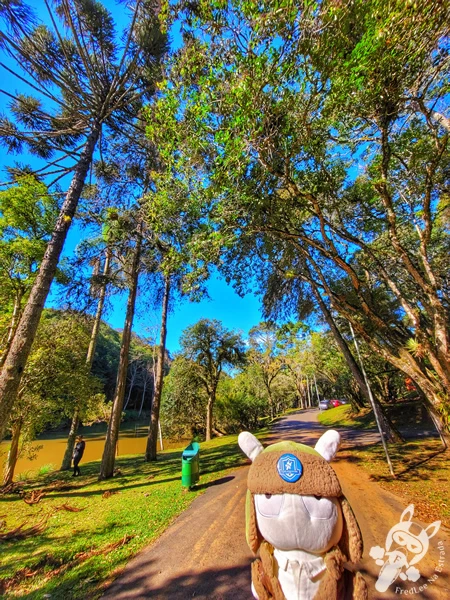 Pista de caminhada às margens de um dos lagos do Parque Municipal Barreirinha, em Curitiba, Paraná, Brasil. Foto: FredLee Na Estrada.