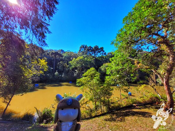 Lago no Parque Municipal Barreirinha | Curitiba - Paraná - Brasil | FredLee Na Estrada Lago no Parque Municipal Barreirinha | Curitiba - Paraná - Brasil | FredLee Na Estrada