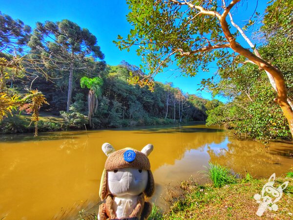 Lago no Parque Municipal Barreirinha | Curitiba - Paraná - Brasil | FredLee Na Estrada Lago no Parque Municipal Barreirinha | Curitiba - Paraná - Brasil | FredLee Na Estrada