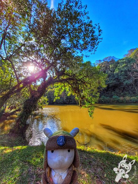 Lago no Parque Municipal Barreirinha | Curitiba - Paraná - Brasil | FredLee Na Estrada Lago no Parque Municipal Barreirinha | Curitiba - Paraná - Brasil | FredLee Na Estrada
