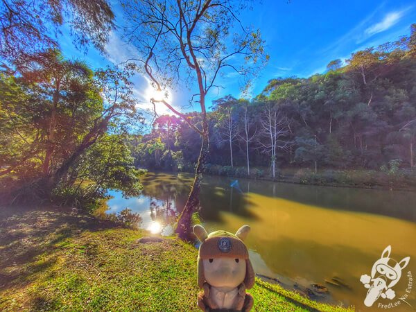 Lago no Parque Municipal Barreirinha | Curitiba - Paraná - Brasil | FredLee Na Estrada Lago no Parque Municipal Barreirinha | Curitiba - Paraná - Brasil | FredLee Na Estrada