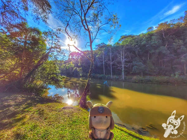 Um dos lagos do Parque Municipal Barreirinha, em Curitiba, Paraná, Brasil. Foto: FredLee Na Estrada.
