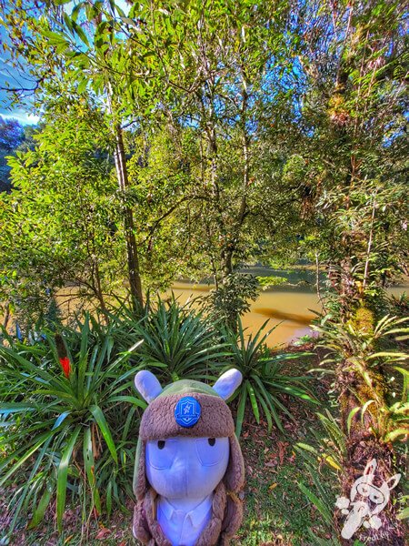Parque Municipal Barreirinha | Curitiba - Paraná - Brasil | FredLee Na Estrada Parque Municipal Barreirinha | Curitiba - Paraná - Brasil | FredLee Na Estrada