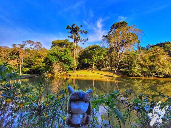 Lago no Parque Municipal Barreirinha | Curitiba - Paraná - Brasil | FredLee Na Estrada Lago no Parque Municipal Barreirinha | Curitiba - Paraná - Brasil | FredLee Na Estrada