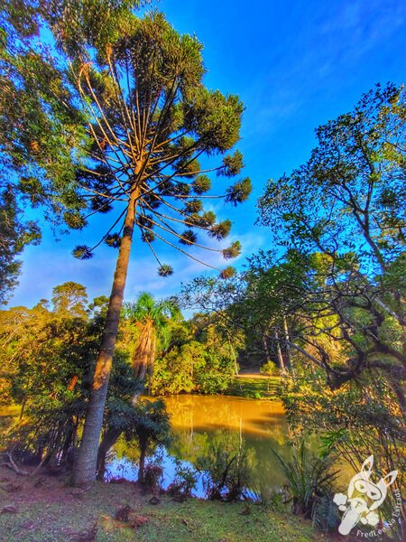 Lago no Parque Municipal Barreirinha | Curitiba - Paraná - Brasil | FredLee Na Estrada Lago no Parque Municipal Barreirinha | Curitiba - Paraná - Brasil | FredLee Na Estrada