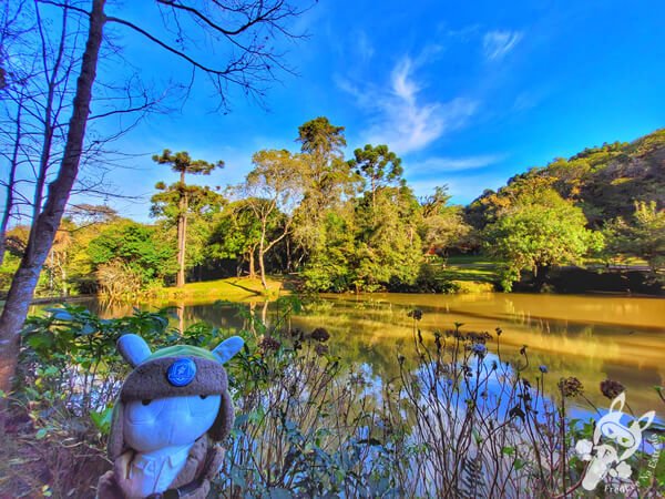 Lago no Parque Municipal Barreirinha | Curitiba - Paraná - Brasil | FredLee Na Estrada Lago no Parque Municipal Barreirinha | Curitiba - Paraná - Brasil | FredLee Na Estrada