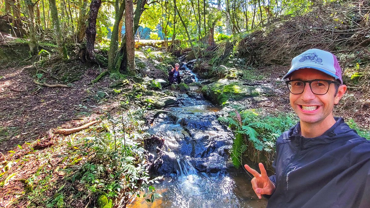 Pessoas em uma trilha ecológica ao lado de um riacho no Parque Municipal Barreirinha, em Curitiba, cercada por araucárias, árvores e vegetação nativa.