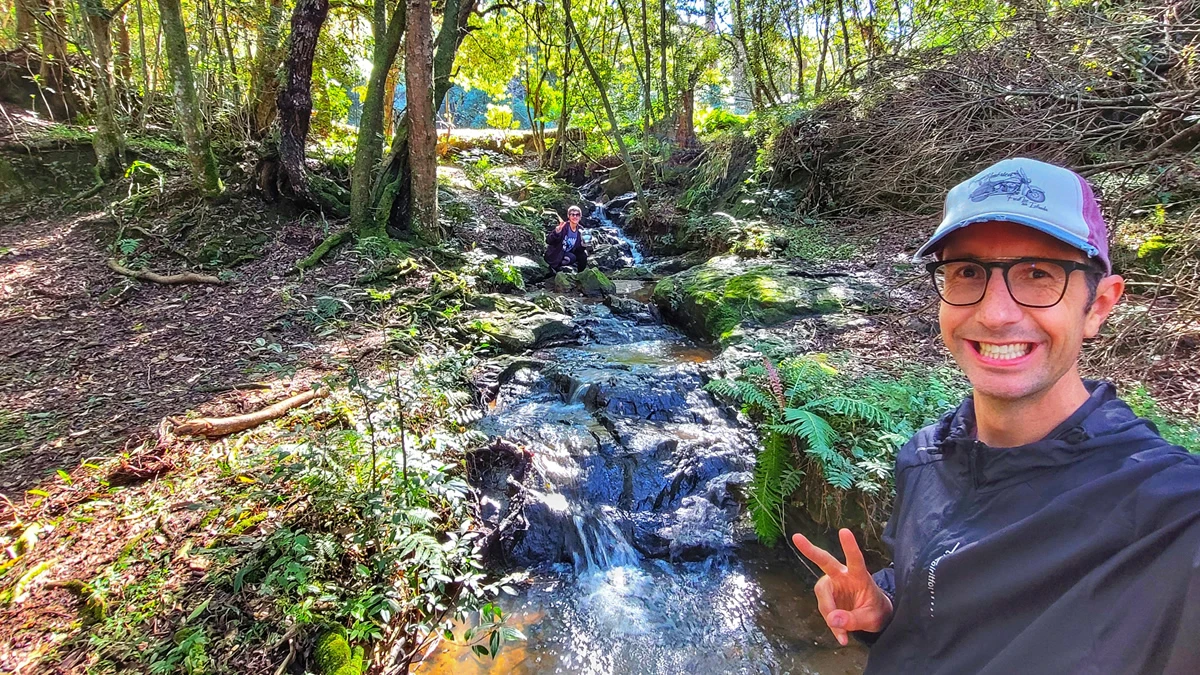 Parque Barreirinha: o parque com mais araucárias de Curitiba